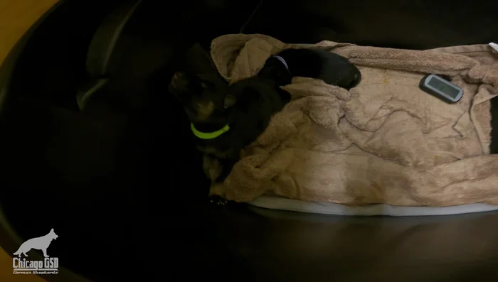 Regularly check and adjust the heating pad's setting and towel layers to maintain the ideal temperature.