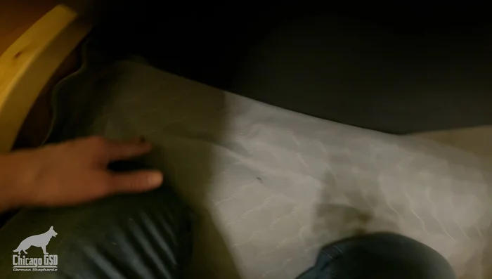 Use a secondary heating element around the whelping box for additional temperature support. Monitor with a thermometer.