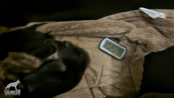 Regularly check and adjust the heating pad's setting and towel layers to maintain the ideal temperature.