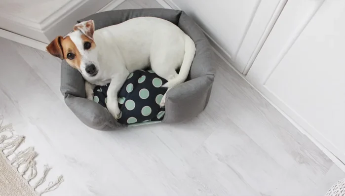 Insert the cushion into the basket.