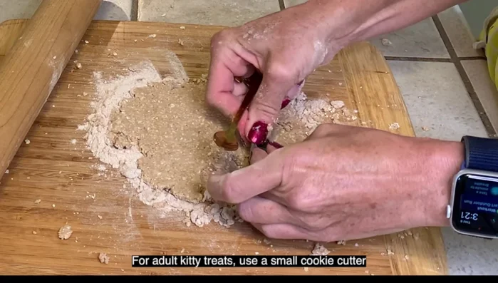 For kittens, chop the treats into smaller pieces.