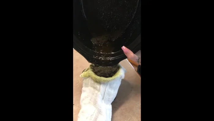 Refrigerate the strained CBD coconut oil.