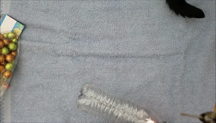 Add catnip (optional): Put catnip inside the bottle through the holes. This step is optional but enhances the toy's appeal to cats.