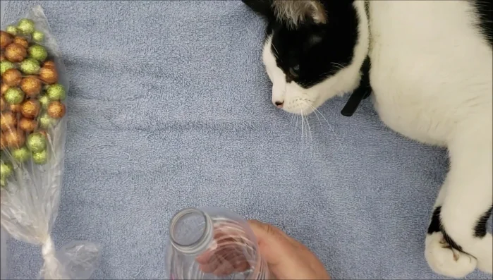 Add rattling items: Place items that will make noise inside the bottle (e.g., jingle bells).