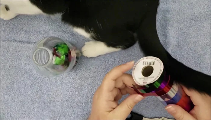 Add the ribbon and remaining items: Put in the curled ribbons and any other chosen items into the bottle.