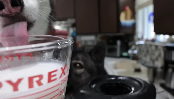 Add honey (about a quarter cup or less).