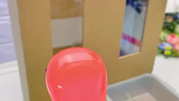 Attach the final side walls to complete the dispenser.