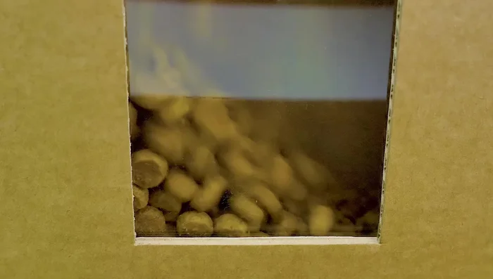 Fill the dispenser with cat food and water.