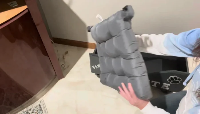 Add cushions and toys to the dog bed.