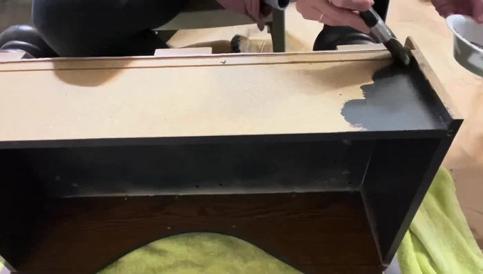 Paint the inside and outside edges of the dog bed.