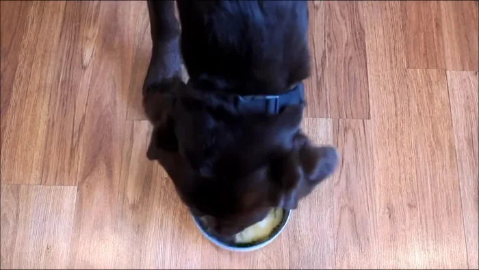 Bake at 350 degrees for 20 minutes.