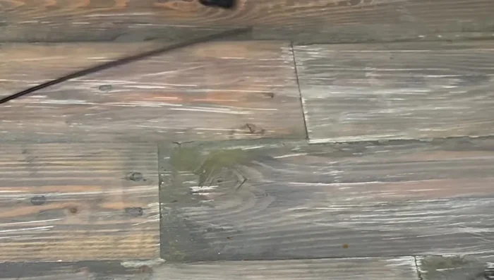 Cut the wire rope to the desired length, ensuring it's the correct inside length when the collar is curled.