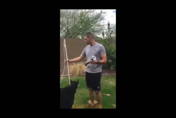 Attach your dog's favorite toy to the other end of the rope.