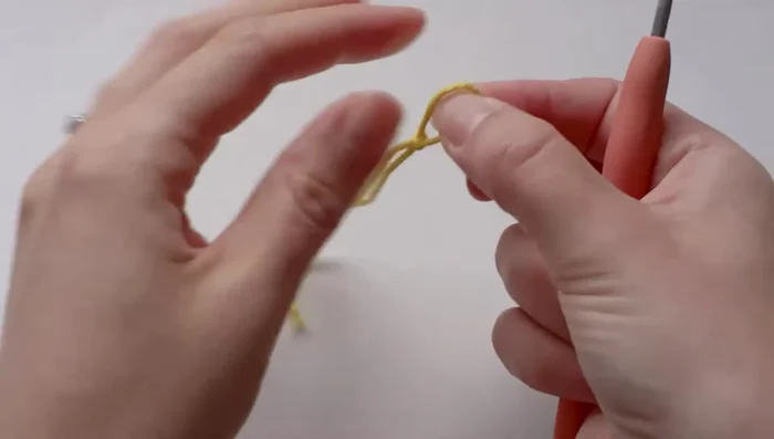 Single crochet 6 stitches into the first chain.