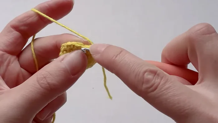 Increase to 24 single crochets (1, 1, 2 in each set of three stitches).