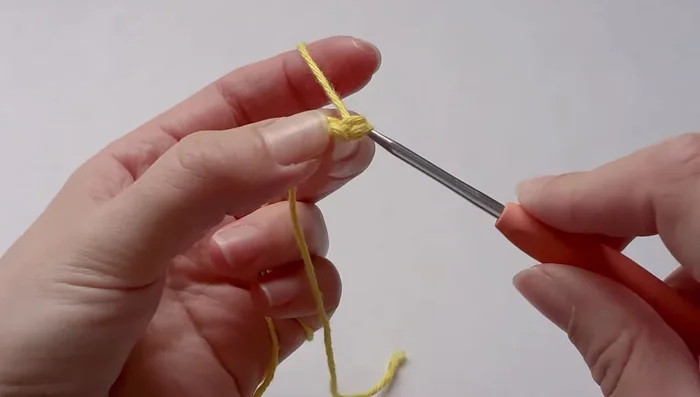 Single crochet 6 stitches into the first chain.