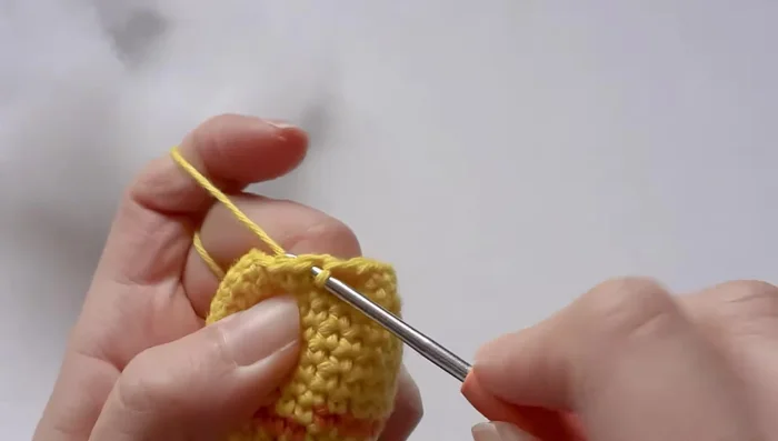 Slip stitch across to close the opening.