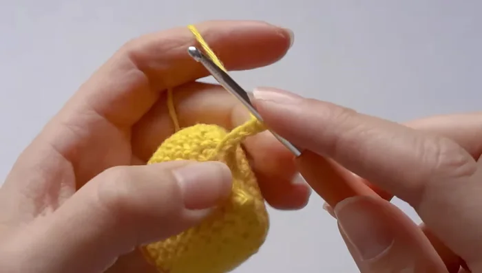 Single crochet in back loops only for the tail's shaping.