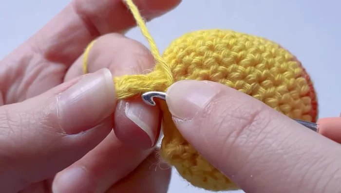 Single crochet in back loops only for the tail's shaping.