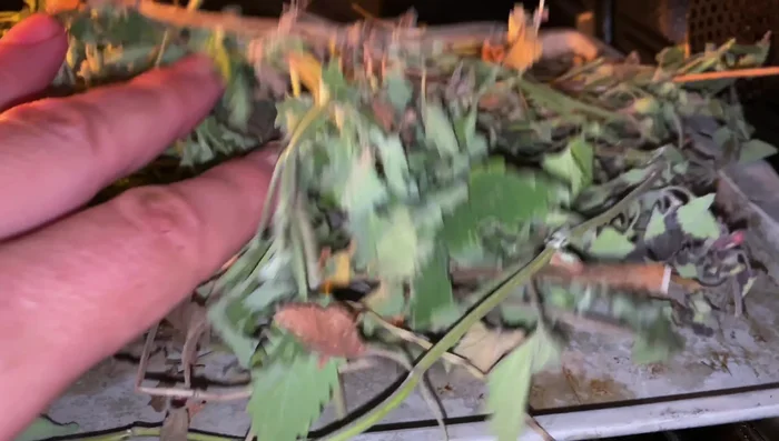 Monitor the drying process. If needed, adjust the drying time and temperature (lowering it if necessary).