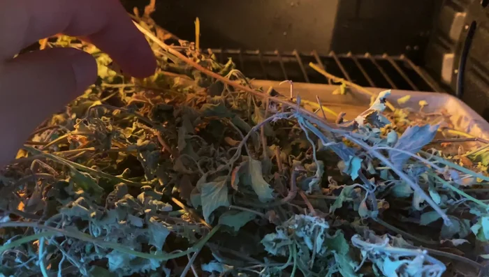 For finer catnip pieces, use a salad spinner to break down the catnip and remove any remaining larger stems.