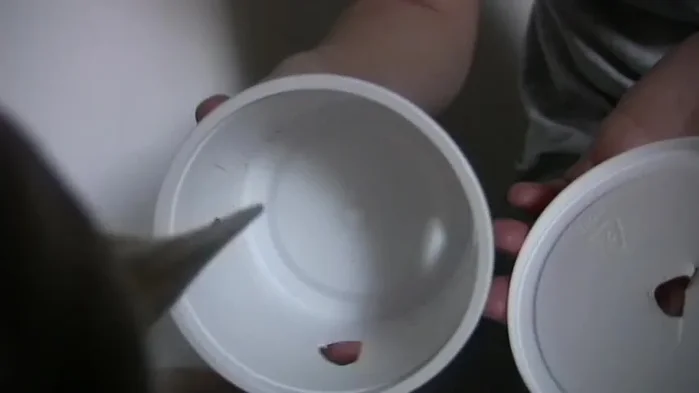 For challenging dogs, tape the lid closed. If your dog struggles, cut more holes.