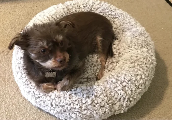 Cut along the chalk mark to create a perfect circle.
