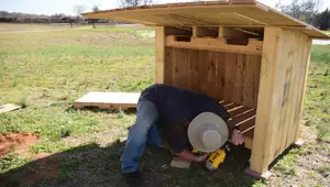 DIY Pallet Dog House: An Almost-Free Project!
