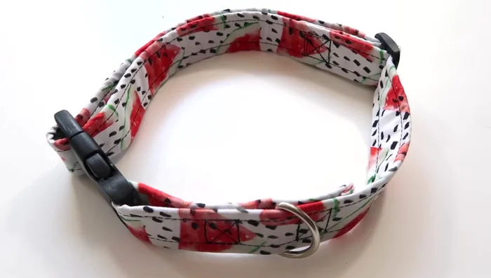 Adjust the collar to fit your dog.