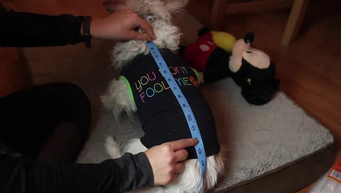 Attach a blue felt tail strip with a pink bow to the bib.