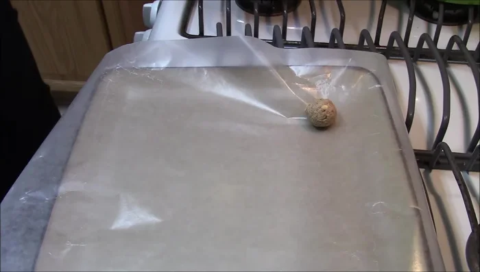 Roll the chilled mixture into small balls using damp hands. Place them on wax paper or parchment paper.