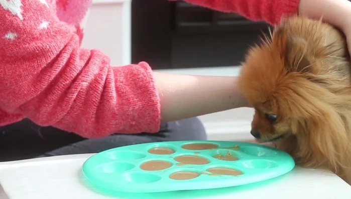 Freeze for 30 minutes to an hour until fully set.