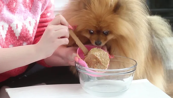 Add carob powder (optional) for a dog-safe chocolate alternative.