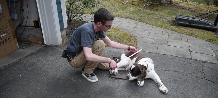 Measure your dog to determine the hammock's dimensions (e.g., 36 inches long x 24 inches wide).