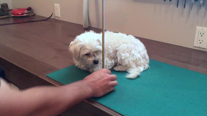 Cut a rabbit on the bottom inside edge of each side piece to receive the plywood.