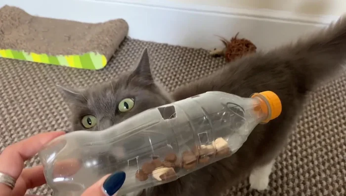 Create a larger hole in the top of the bottle (optional) to aid treat dispensing.