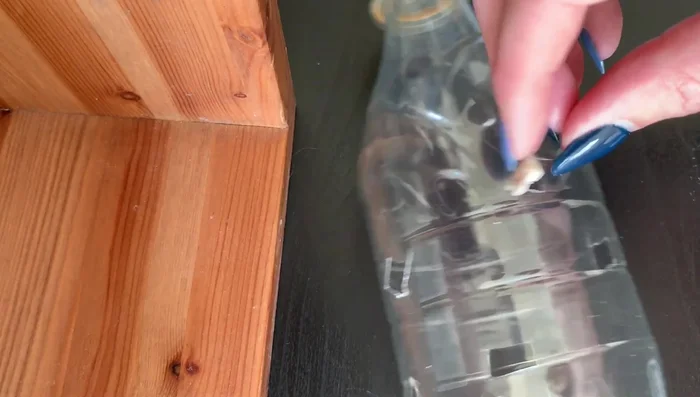 Fill the bottle with cat treats.