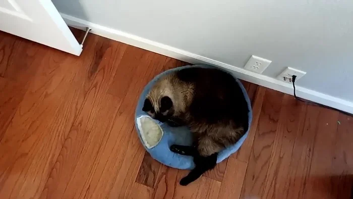 Sew the marked adjustments, and then serge off the excess material.