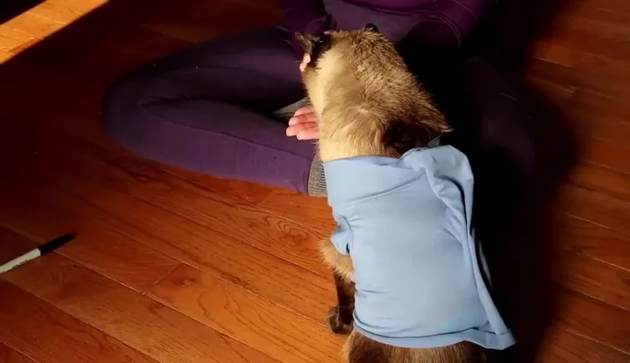 Sew the marked adjustments, and then serge off the excess material.