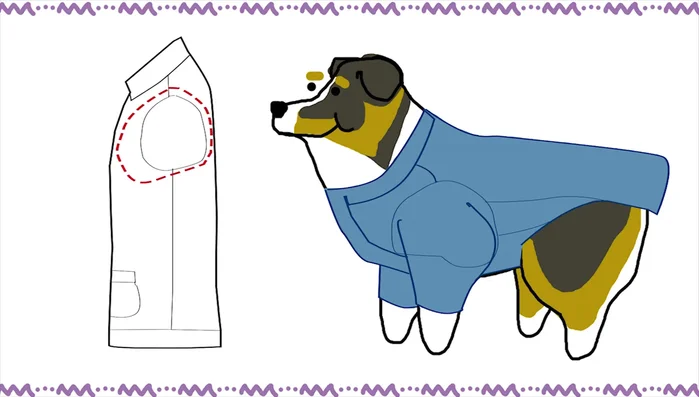 Create new armholes and side seams to fit the dog.
