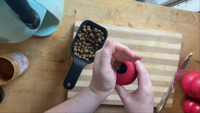 Start with a simple introduction: Fill the Kong with kibble and let your dog enjoy it. This helps your dog associate the Kong with positive experiences.