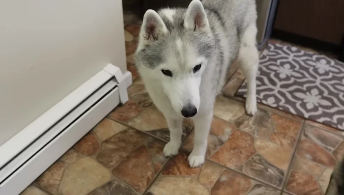 Add 1/4 cup raw apple cider vinegar.