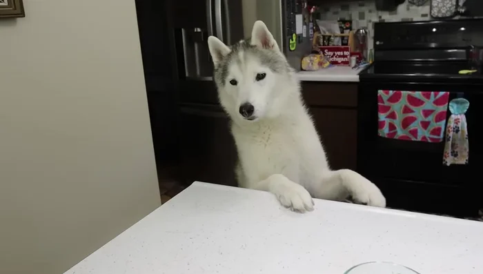 Add 1/4 cup raw apple cider vinegar.