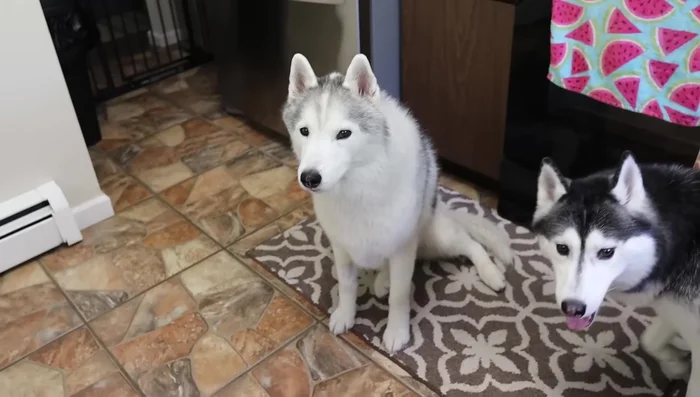 Cook on low for 24 hours (or simmer on the stove for 12 hours, or use an Instant Pot - although the speaker prefers the slow cooker method).