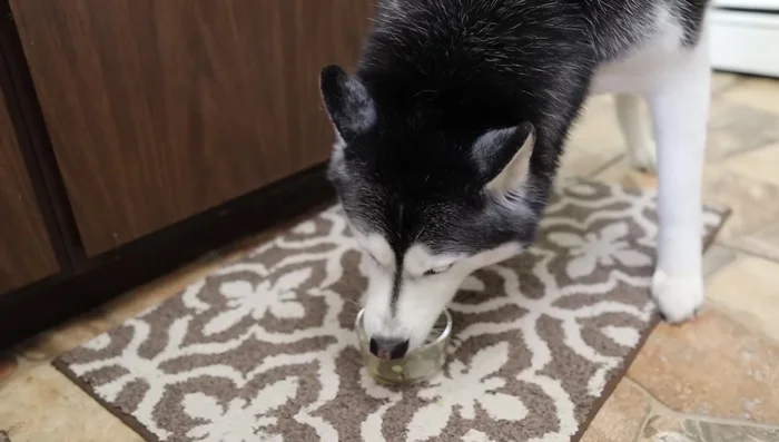 Store bone broth in the fridge or freezer.