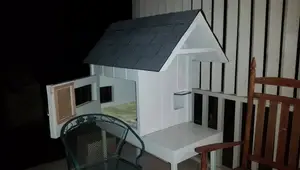 DIY Insulated Cat House for Feral Cats: Winter Warmth & Summer Cool