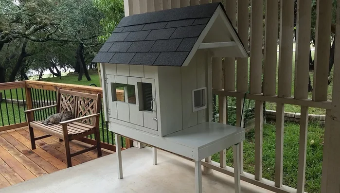 Manage food placement: Provide food during the day to avoid deer, but remove it at night to prevent raccoon and fox access.