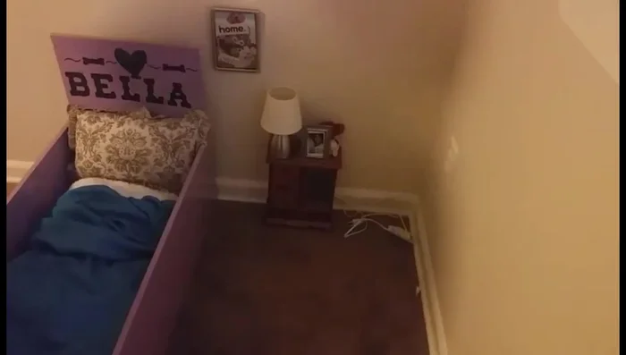 Optional: Make a dog mat: Use magazines and a bathmat to make a collage for a unique dog mat.