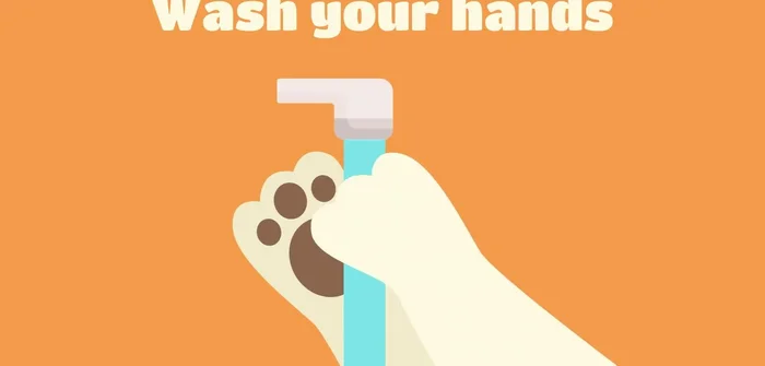Wash your hands and ensure your work surface is clean.