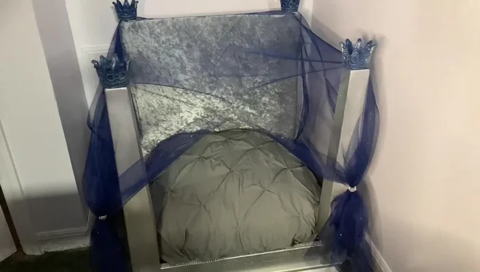 Add the dog's blanket.